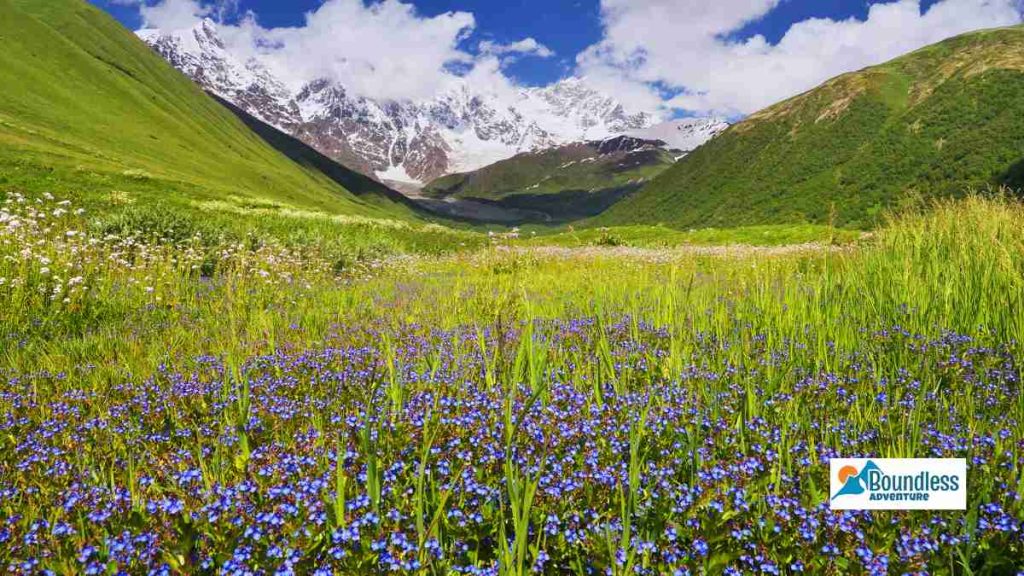Langtang In Spring 1024x576