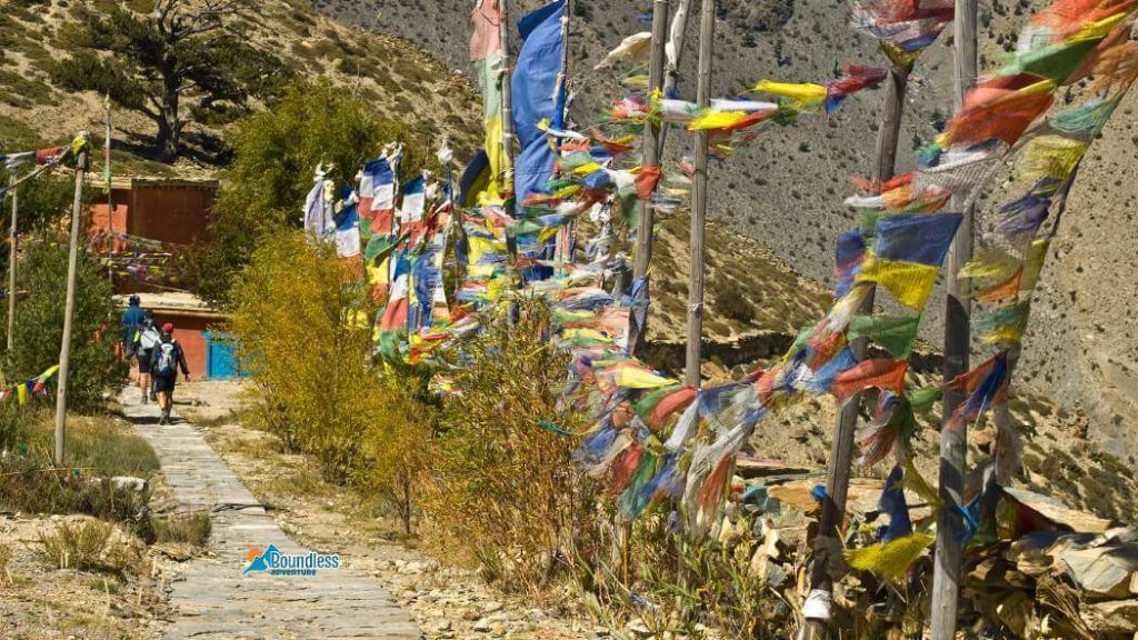 Cultural Trekking In Mustang 1024x576