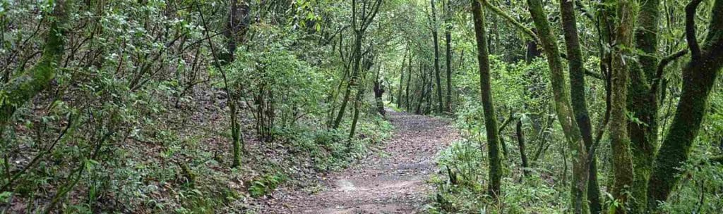 Sundarijal 1024x304