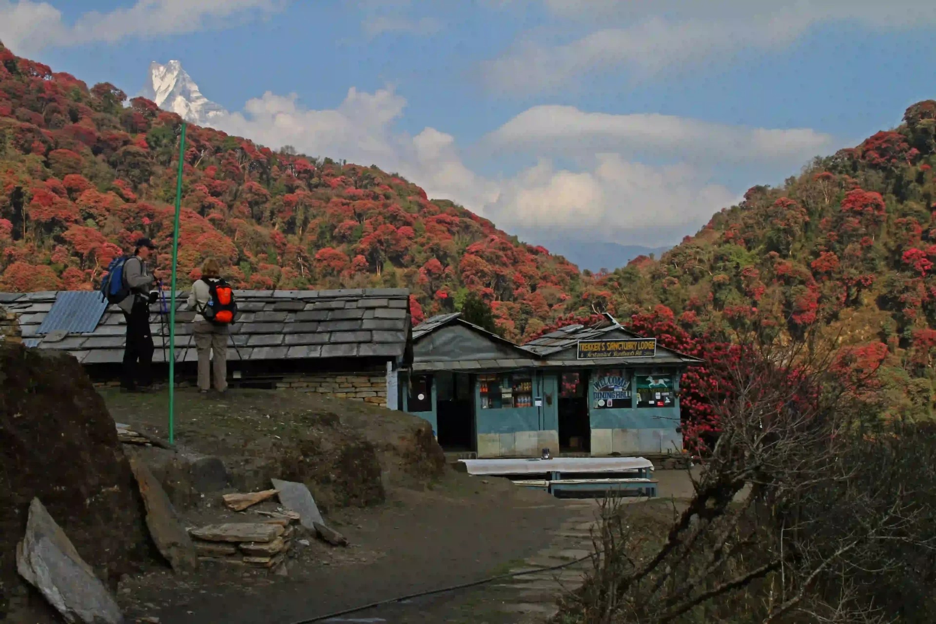 Trek From Ghorepani To Tadapani Scaled 1