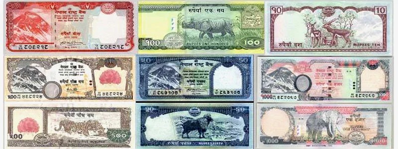 Nepali Money